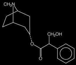 Hyosciamin / Atropin
