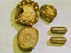 meskalov knoflky a novj forma elatinov kapsle